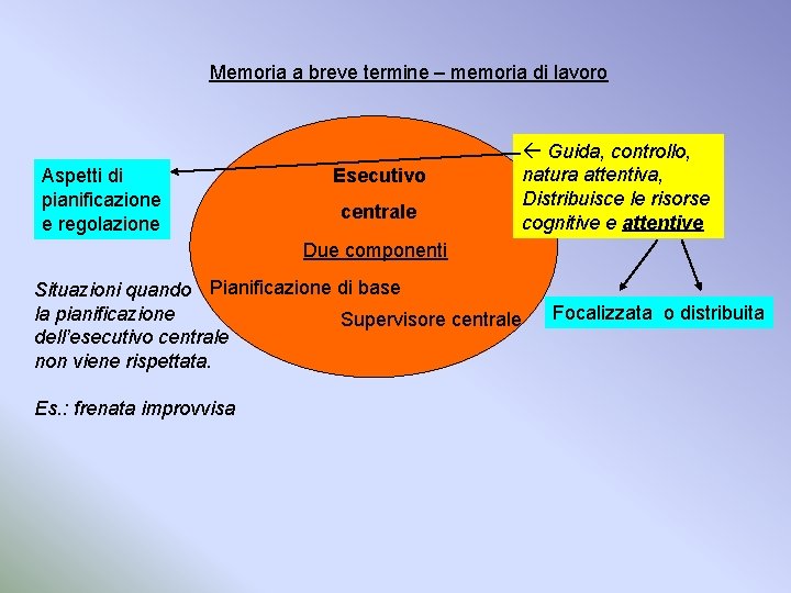Memoria a breve termine – memoria di lavoro Aspetti di pianificazione e regolazione Esecutivo