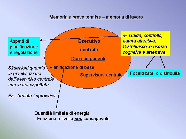 Memoria a breve termine – memoria di lavoro Aspetti di pianificazione e regolazione Esecutivo