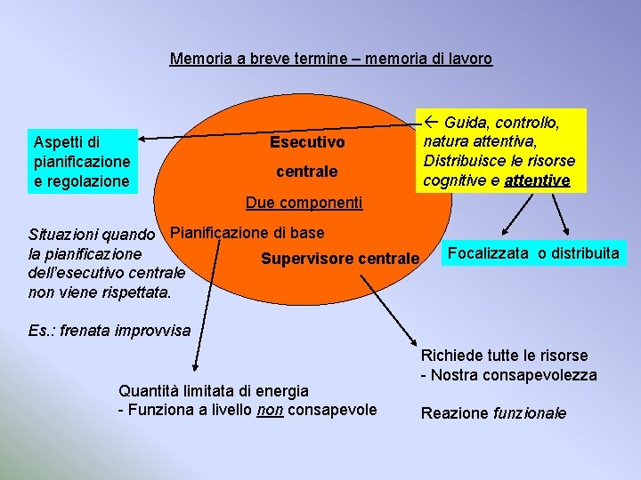 Memoria a breve termine – memoria di lavoro Aspetti di pianificazione e regolazione Esecutivo