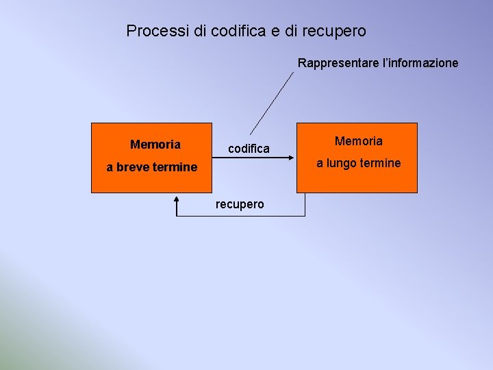 Processi di codifica e di recupero Rappresentare l’informazione Memoria codifica Memoria a lungo termine