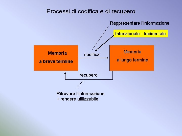 Processi di codifica e di recupero Rappresentare l’informazione Intenzionale - Incidentale Memoria codifica Memoria