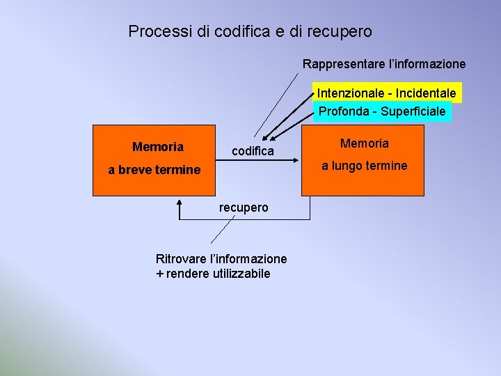 Processi di codifica e di recupero Rappresentare l’informazione Intenzionale - Incidentale Profonda - Superficiale