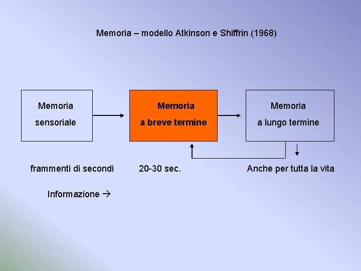 Memoria – modello Atkinson e Shiffrin (1968) Memoria sensoriale frammenti di secondi Informazione Memoria