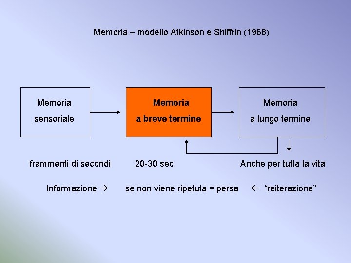 Memoria – modello Atkinson e Shiffrin (1968) Memoria sensoriale frammenti di secondi Informazione Memoria
