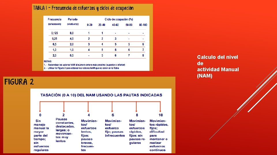 Calculo del nivel de actividad Manual (NAM) 