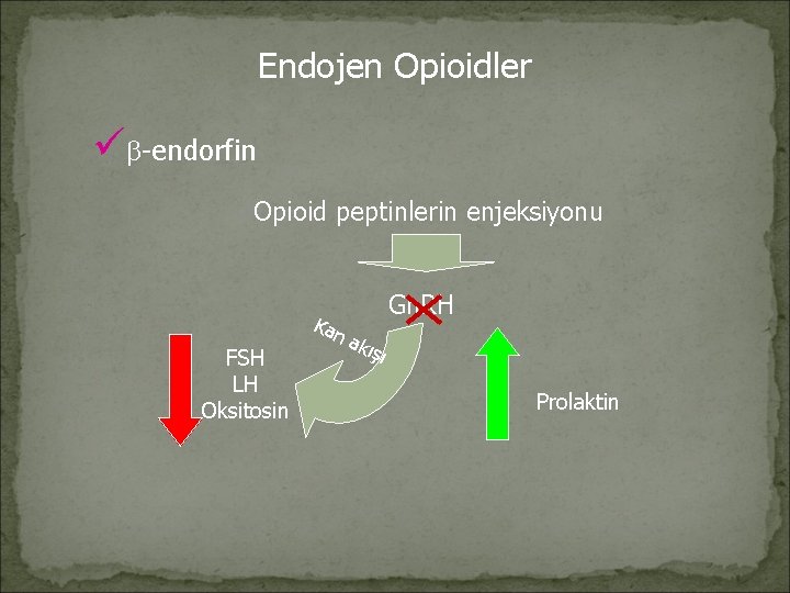 Endojen Opioidler ü -endorfin Opioid peptinlerin enjeksiyonu FSH LH Oksitosin Kan Gn. RH a