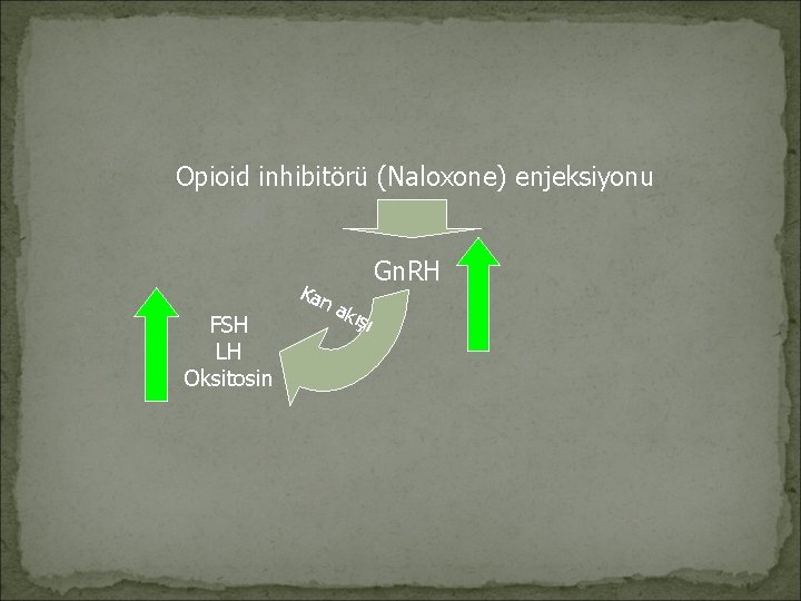Opioid inhibitörü (Naloxone) enjeksiyonu FSH LH Oksitosin Kan Gn. RH a kı şı 