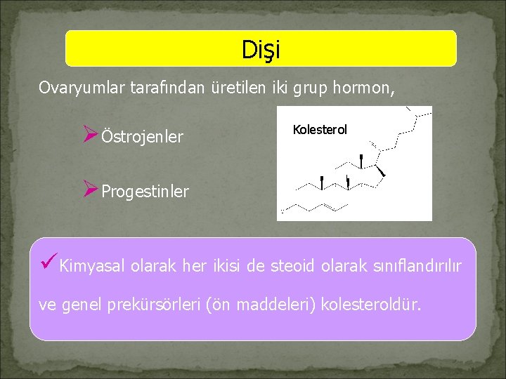 Dişi Ovaryumlar tarafından üretilen iki grup hormon, ØÖstrojenler Kolesterol ØProgestinler üKimyasal olarak her ikisi