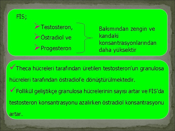 FİS; ØTestosteron, ØÖstradiol ve ØProgesteron Bakımından zengin ve kandaki konsantrasyonlarından daha yüksektir üTheca hücreleri