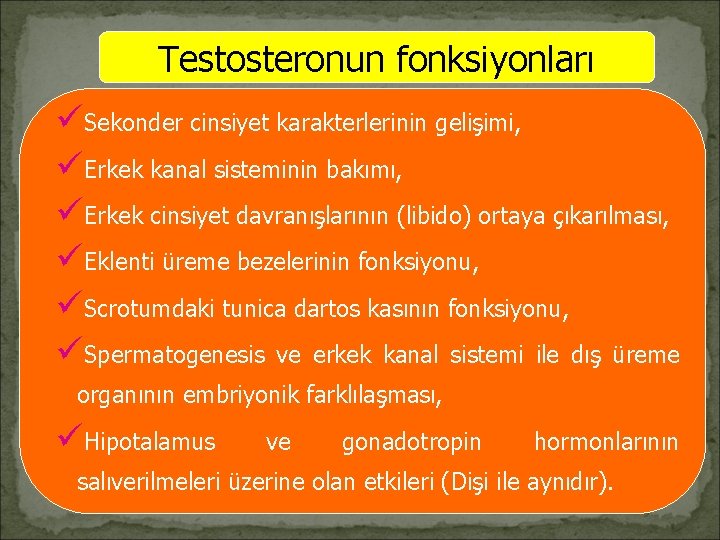 Testosteronun fonksiyonları üSekonder cinsiyet karakterlerinin gelişimi, üErkek kanal sisteminin bakımı, üErkek cinsiyet davranışlarının (libido)