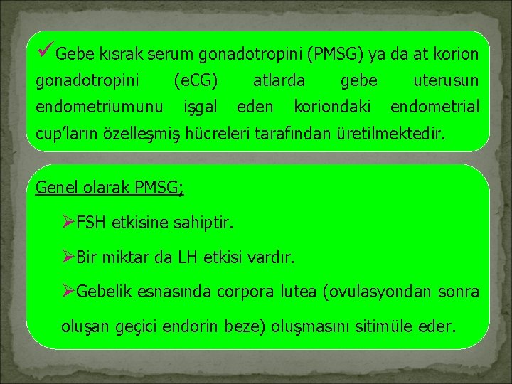 üGebe kısrak serum gonadotropini (PMSG) ya da at korion gonadotropini endometriumunu (e. CG) işgal