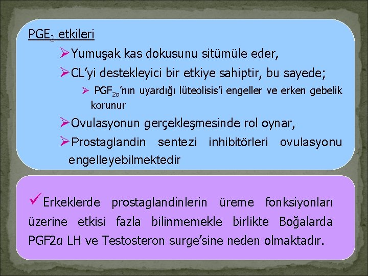 PGE 2 etkileri ØYumuşak kas dokusunu sitümüle eder, ØCL’yi destekleyici bir etkiye sahiptir, bu