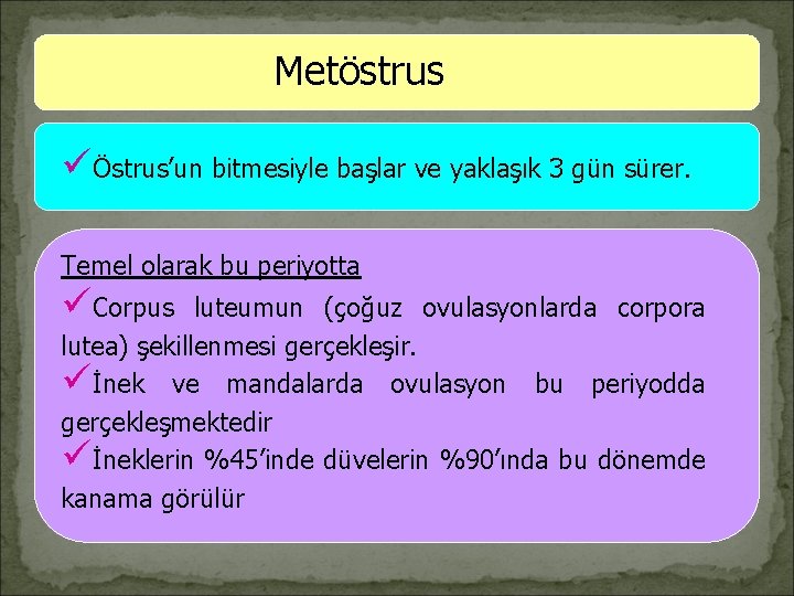 Metöstrus üÖstrus’un bitmesiyle başlar ve yaklaşık 3 gün sürer. Temel olarak bu periyotta üCorpus