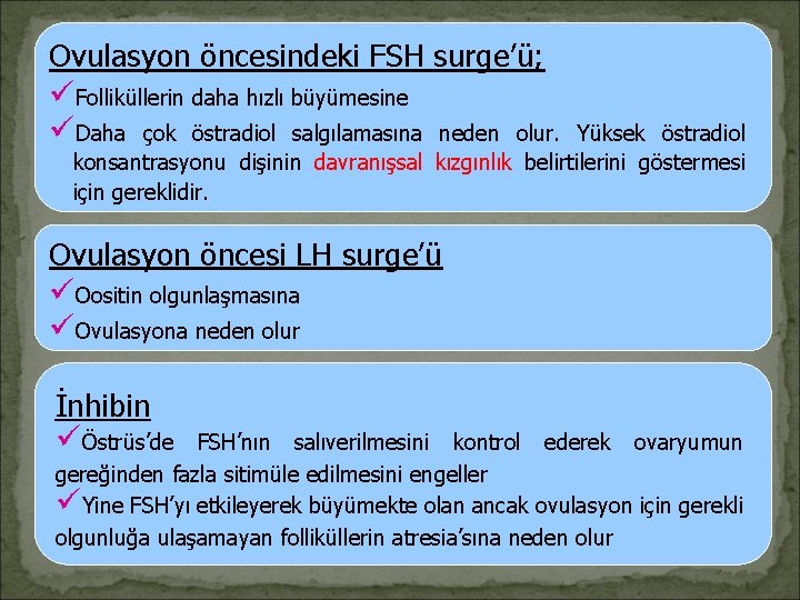 Ovulasyon öncesindeki FSH surge’ü; üFolliküllerin daha hızlı büyümesine üDaha çok östradiol salgılamasına neden olur.