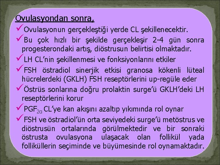 Ovulasyondan sonra, üOvulasyonun gerçekleştiği yerde CL şekillenecektir. üBu çok hızlı bir şekilde gerçekleşir 2