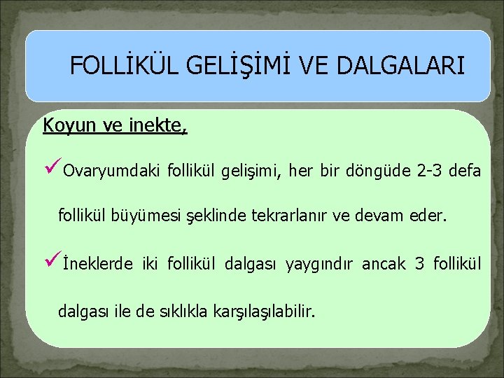 FOLLİKÜL GELİŞİMİ VE DALGALARI Koyun ve inekte, üOvaryumdaki follikül gelişimi, her bir döngüde 2