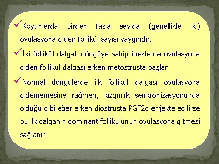 üKoyunlarda birden fazla sayıda (genellikle iki) ovulasyona giden follikül sayısı yaygındır. üİki follikül dalgalı