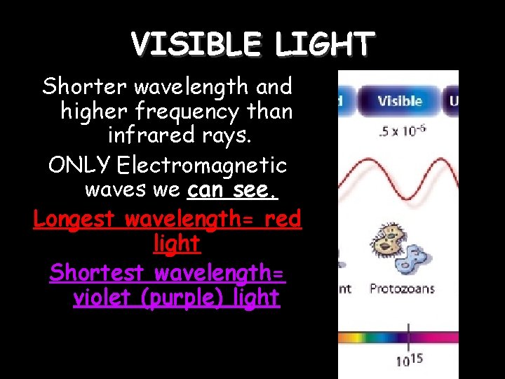 VISIBLE LIGHT Shorter wavelength and higher frequency than infrared rays. ONLY Electromagnetic waves we