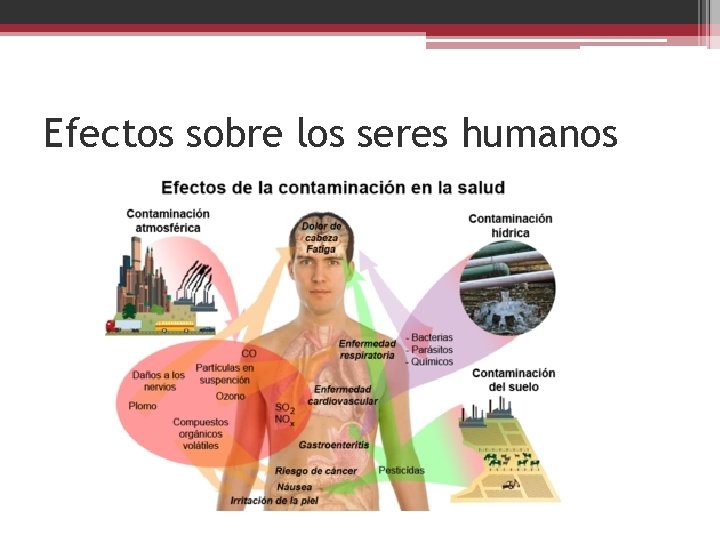 Efectos sobre los seres humanos 