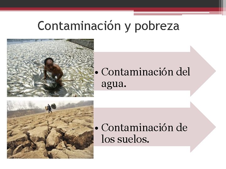 Contaminación y pobreza • Contaminación del agua. • Contaminación de los suelos. 