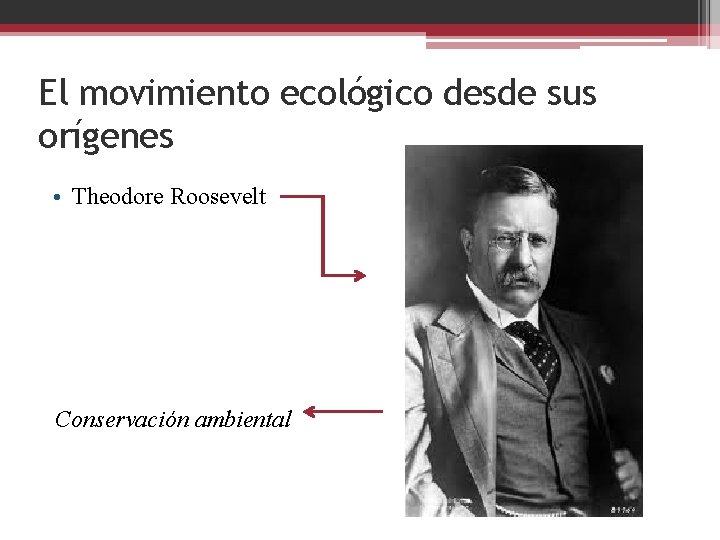 El movimiento ecológico desde sus orígenes • Theodore Roosevelt Conservación ambiental 