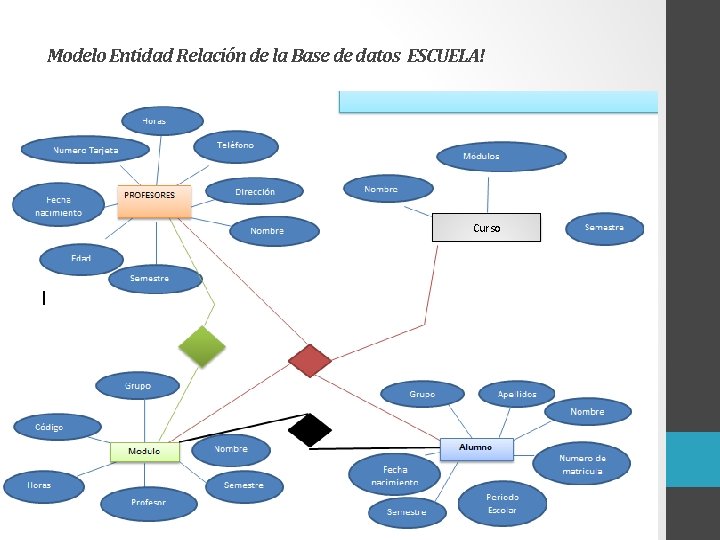 Modelo Entidad Relación de la Base de datos ESCUELA! Curso 