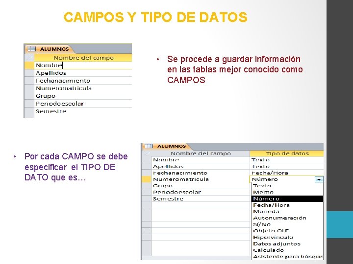 CAMPOS Y TIPO DE DATOS • Se procede a guardar información en las tablas