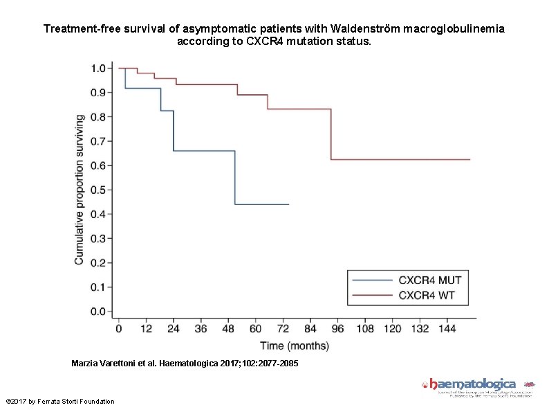 Treatment-free survival of asymptomatic patients with Waldenström macroglobulinemia according to CXCR 4 mutation status.