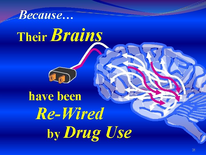 Because… Their Brains have been Re-Wired by Drug Use 31 