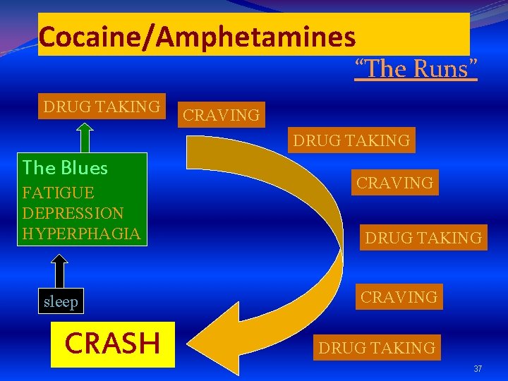 Cocaine/Amphetamines “The Runs” DRUG TAKING CRAVING DRUG TAKING The Blues FATIGUE DEPRESSION HYPERPHAGIA sleep