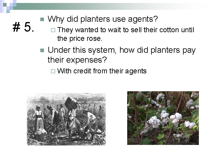 # 5. n Why did planters use agents? ¨ They wanted to wait to