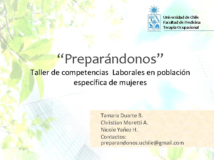 Universidad de Chile Facultad de Medicina Terapia Ocupacional “Preparándonos” Taller de competencias Laborales en