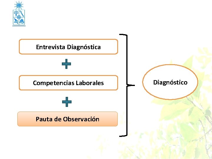 Entrevista Diagnóstica Competencias Laborales Pauta de Observación Diagnóstico 