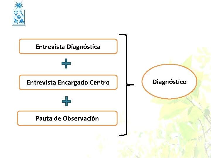 Entrevista Diagnóstica Entrevista Encargado Centro Pauta de Observación Diagnóstico 