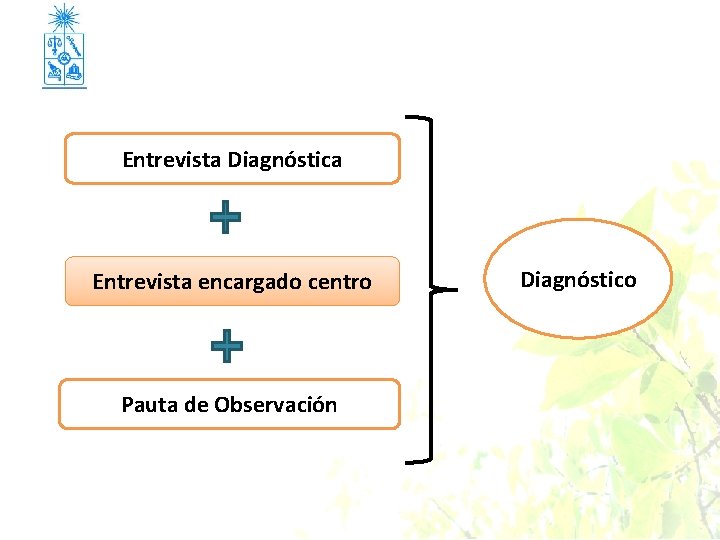 Entrevista Diagnóstica Entrevista encargado centro Pauta de Observación Diagnóstico 