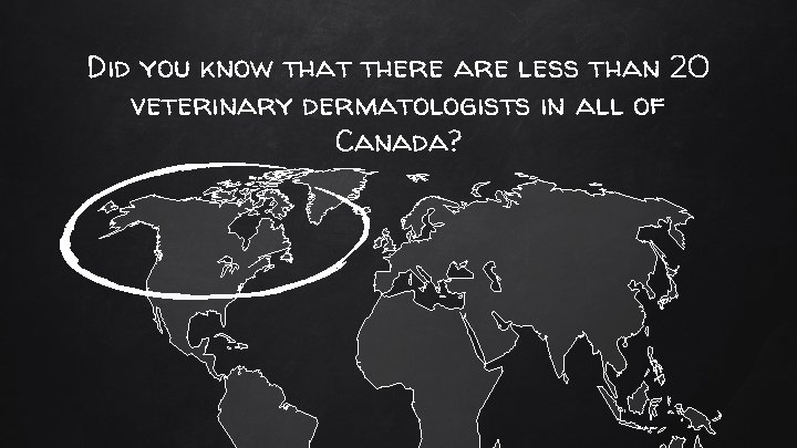 Did you know that there are less than 20 veterinary dermatologists in all of