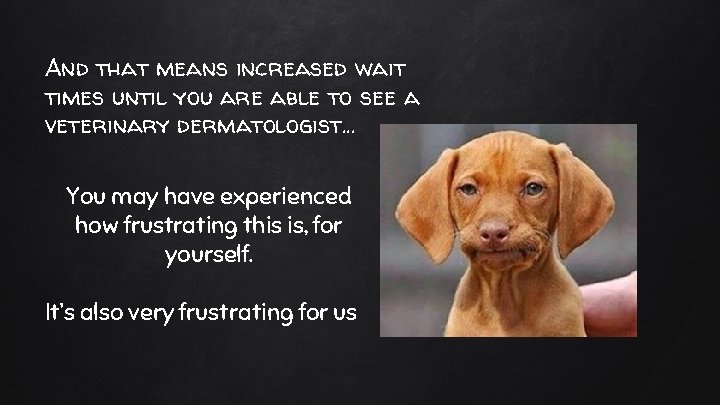 And that means increased wait times until you are able to see a veterinary