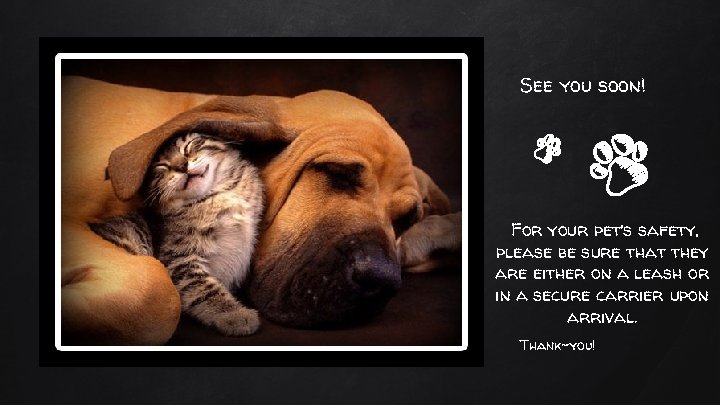 See you soon! For your pet’s safety, please be sure that they are either