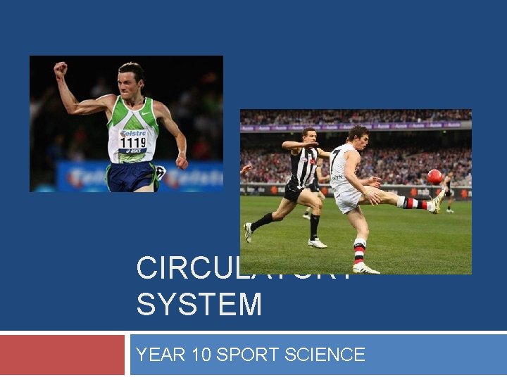 CIRCULATORY SYSTEM YEAR 10 SPORT SCIENCE 