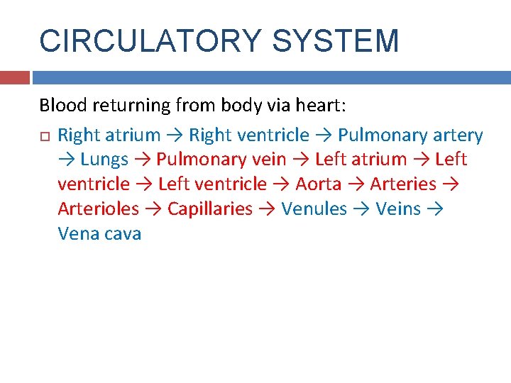 CIRCULATORY SYSTEM Blood returning from body via heart: Right atrium → Right ventricle →