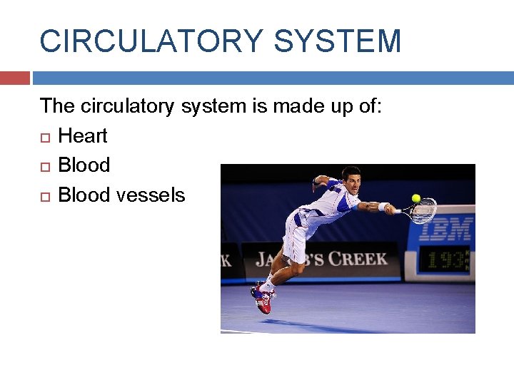 CIRCULATORY SYSTEM The circulatory system is made up of: Heart Blood vessels 