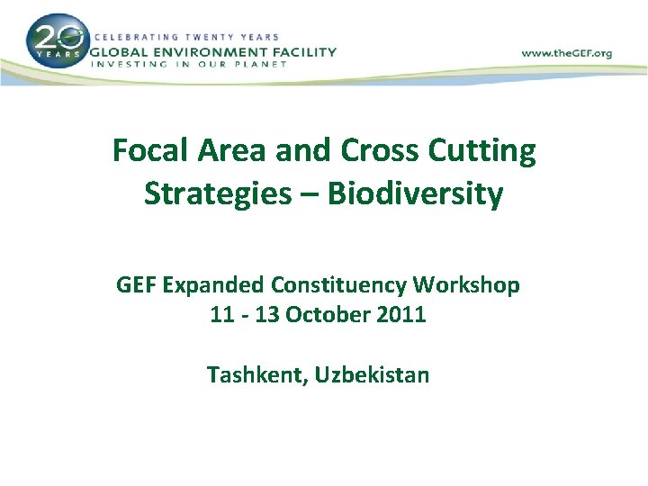 Focal Area and Cross Cutting Strategies – Biodiversity GEF Expanded Constituency Workshop 11 -