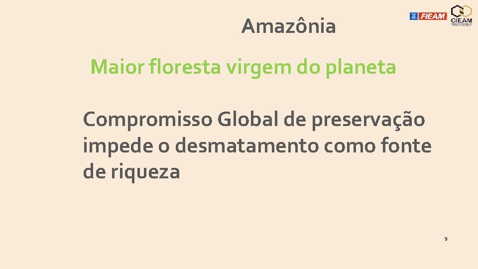 Amazônia Maior floresta virgem do planeta Compromisso Global de preservação impede o desmatamento como