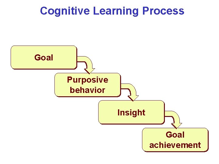 Cognitive Learning Process Goal Purposive behavior Insight Goal achievement 