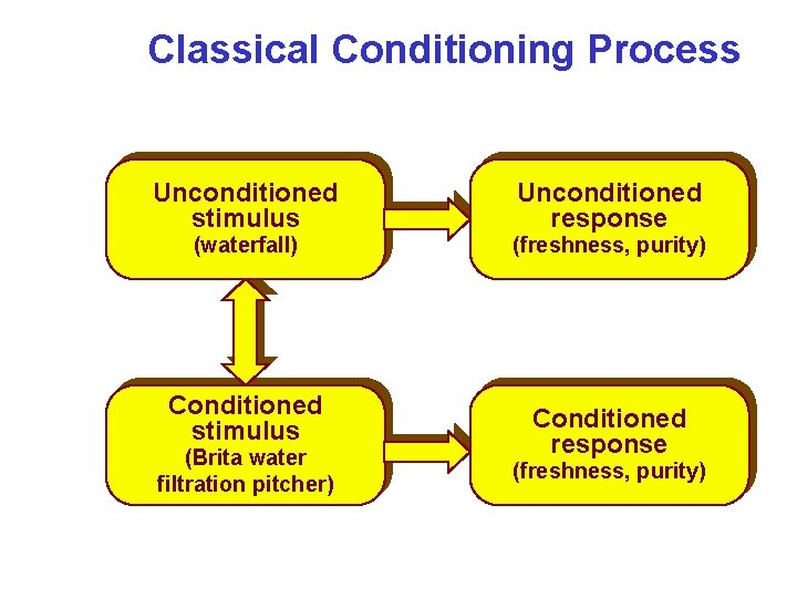 Classical Conditioning Process Unconditioned stimulus Unconditioned response (waterfall) (freshness, purity) Association develops through contiguity