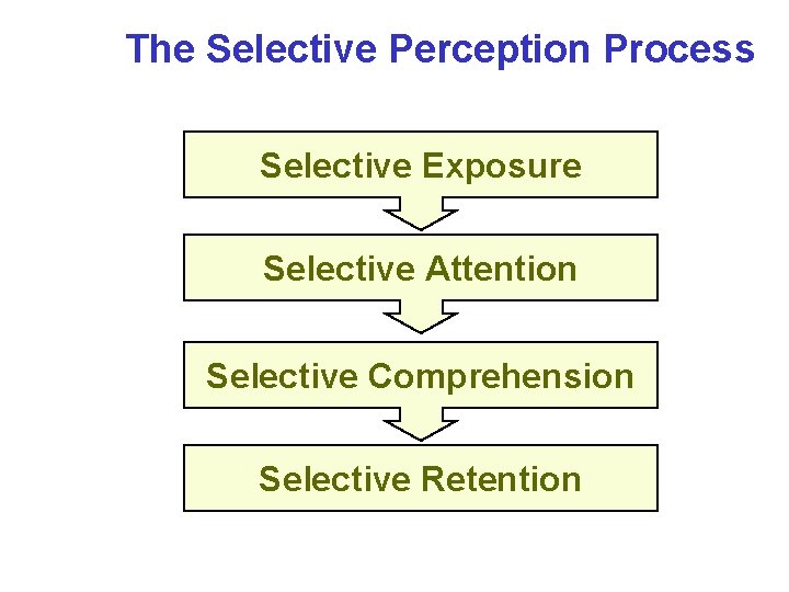 The Selective Perception Process Selective Exposure Selective Attention Selective Comprehension Selective Retention 