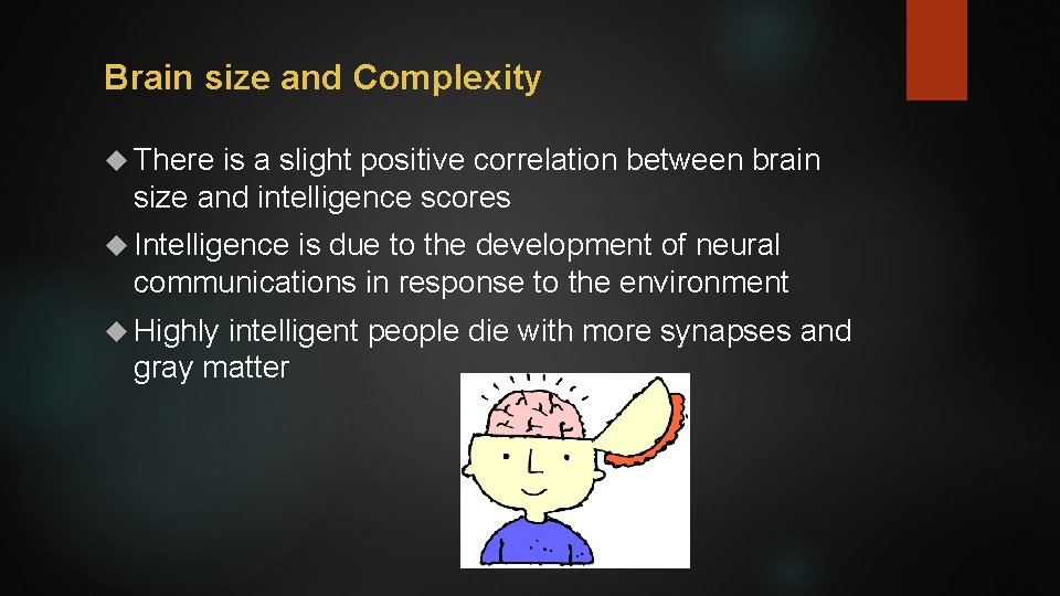 Brain size and Complexity There is a slight positive correlation between brain size and