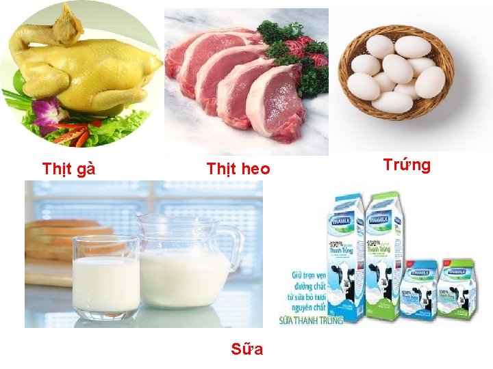 Thịt gà Thịt heo Sữa Trứng 