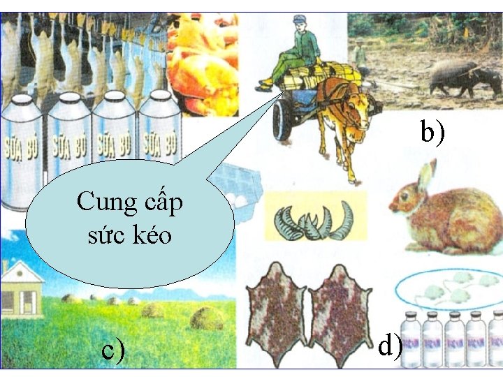 b) Cung cấp a) sức kéo c) d) 