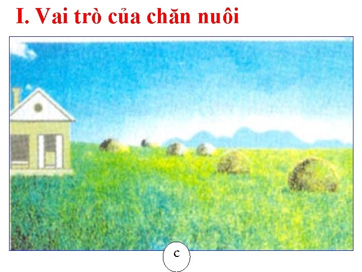 I. Vai trò của chăn nuôi c 